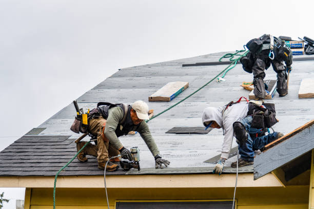 Professional Roofing technician working in Grand Junction, MI